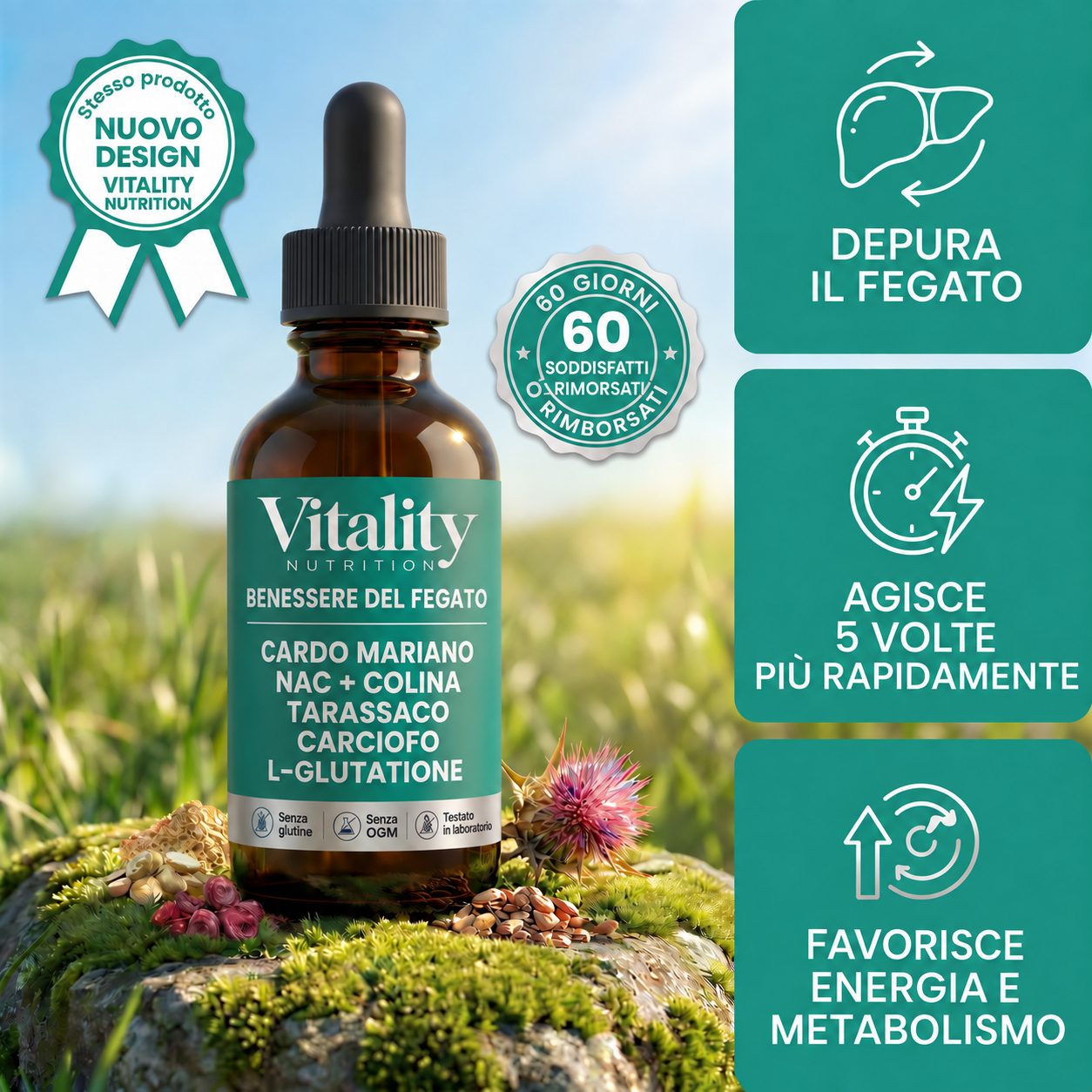 Vitality Nutrition